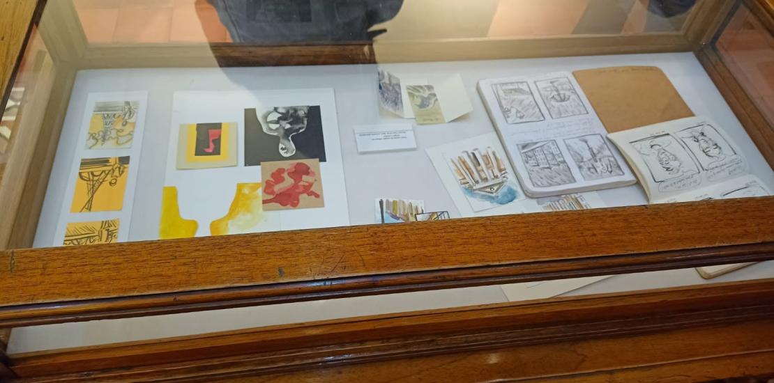 Exposición HABITAR EL VÍNCULO fotografía / historieta de Éloïse Boitelle y José Carlos Chihuán Trevejo.