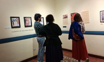 Exposición individual Flowers of Western Ireland del artista William Hemmerdinger